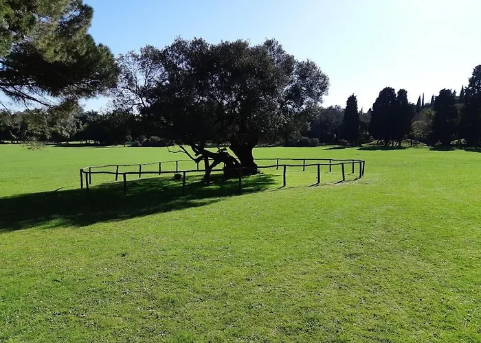 Semesterbostad Kascuni A4 Pula